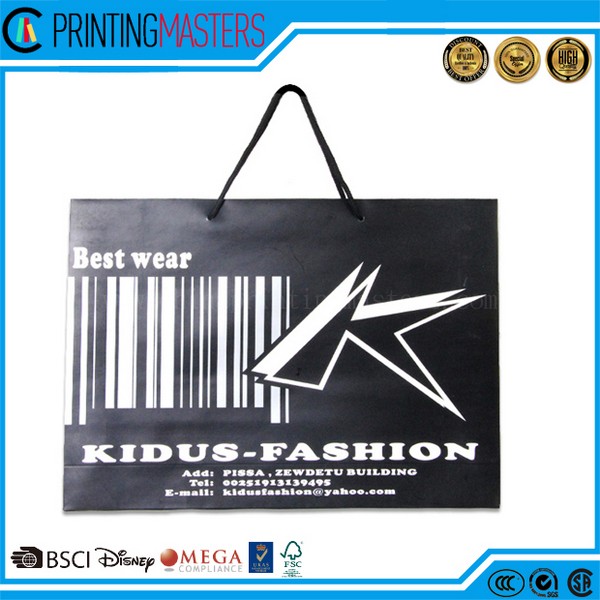 2017 Fashionable Shopping Paper Bag 