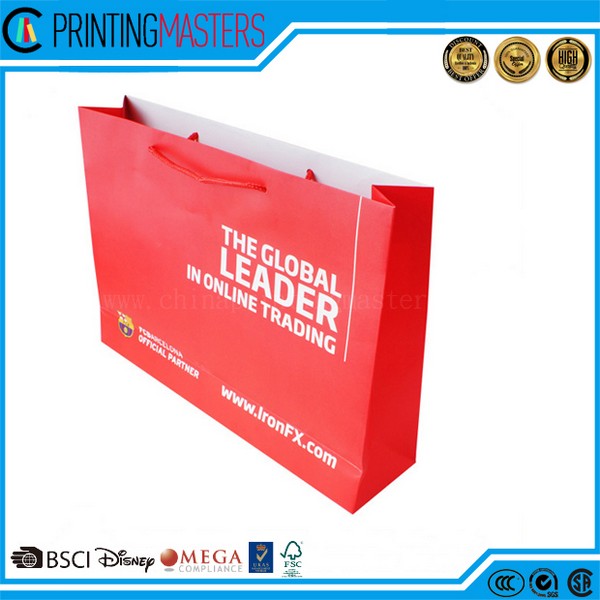 2017 New Fashion Shopping Paper Bag 