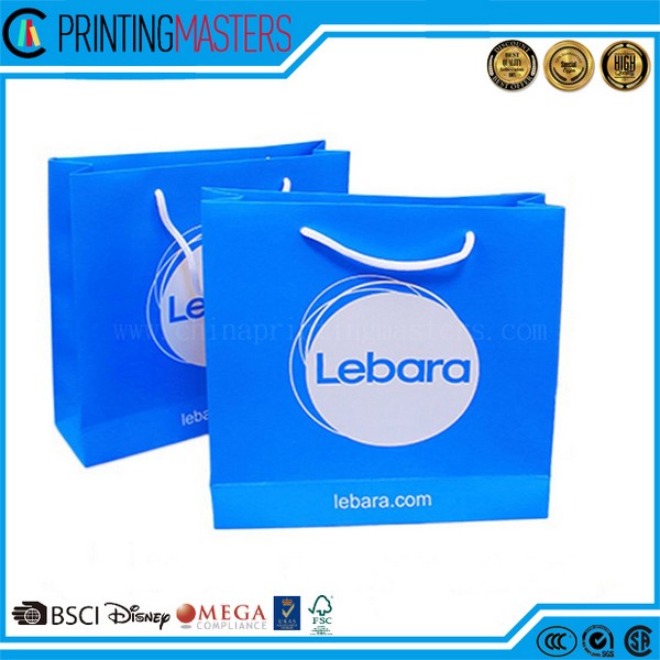 Shopping Paper Bags With Cotton Handles 