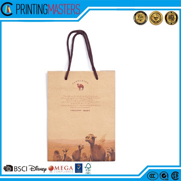 Foldable Paper Bag For Gift Packaging