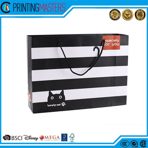 Shopping Paper Gift Bag With Handle