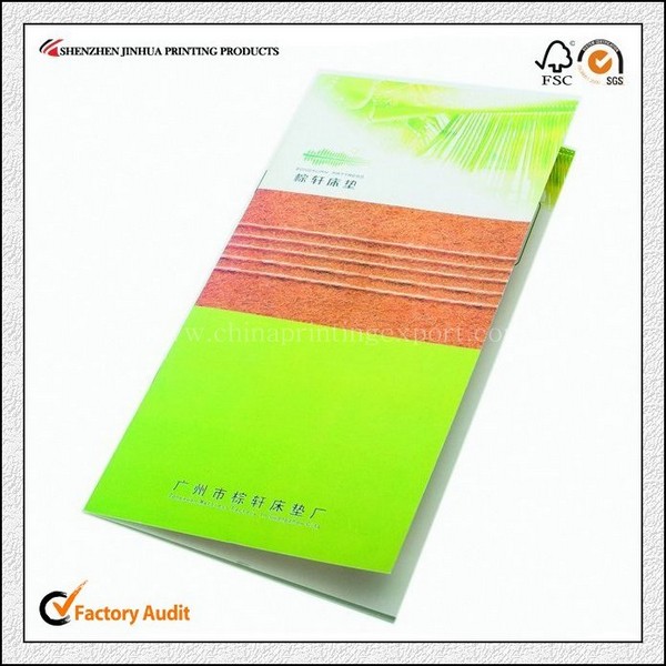 Factory Printing Professional High Quality Pamphlet Printing